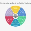 Aromatherapy Discovery Tin