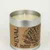 Candle Tin - Sea Moss & Driftwood