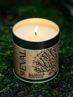 Candle Tin - Sea Moss & Driftwood