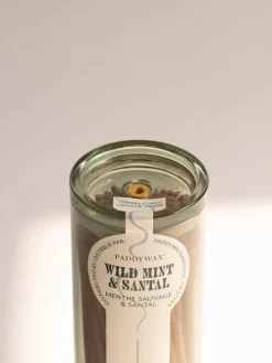 Haze Incense - Wild Mint + Santal