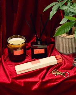 Hi-Fi Collection Incense - Blonde Hinoki