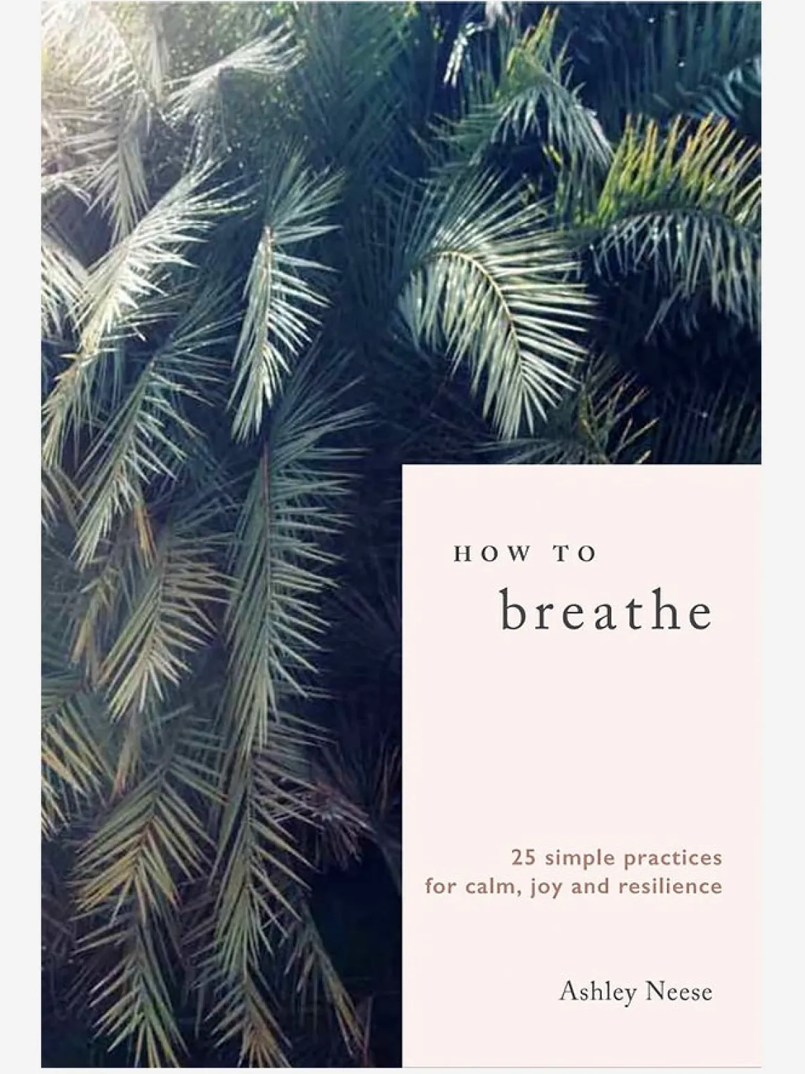 How to Breathe: 25 Simple Practices for Calm, Joy and Resilience