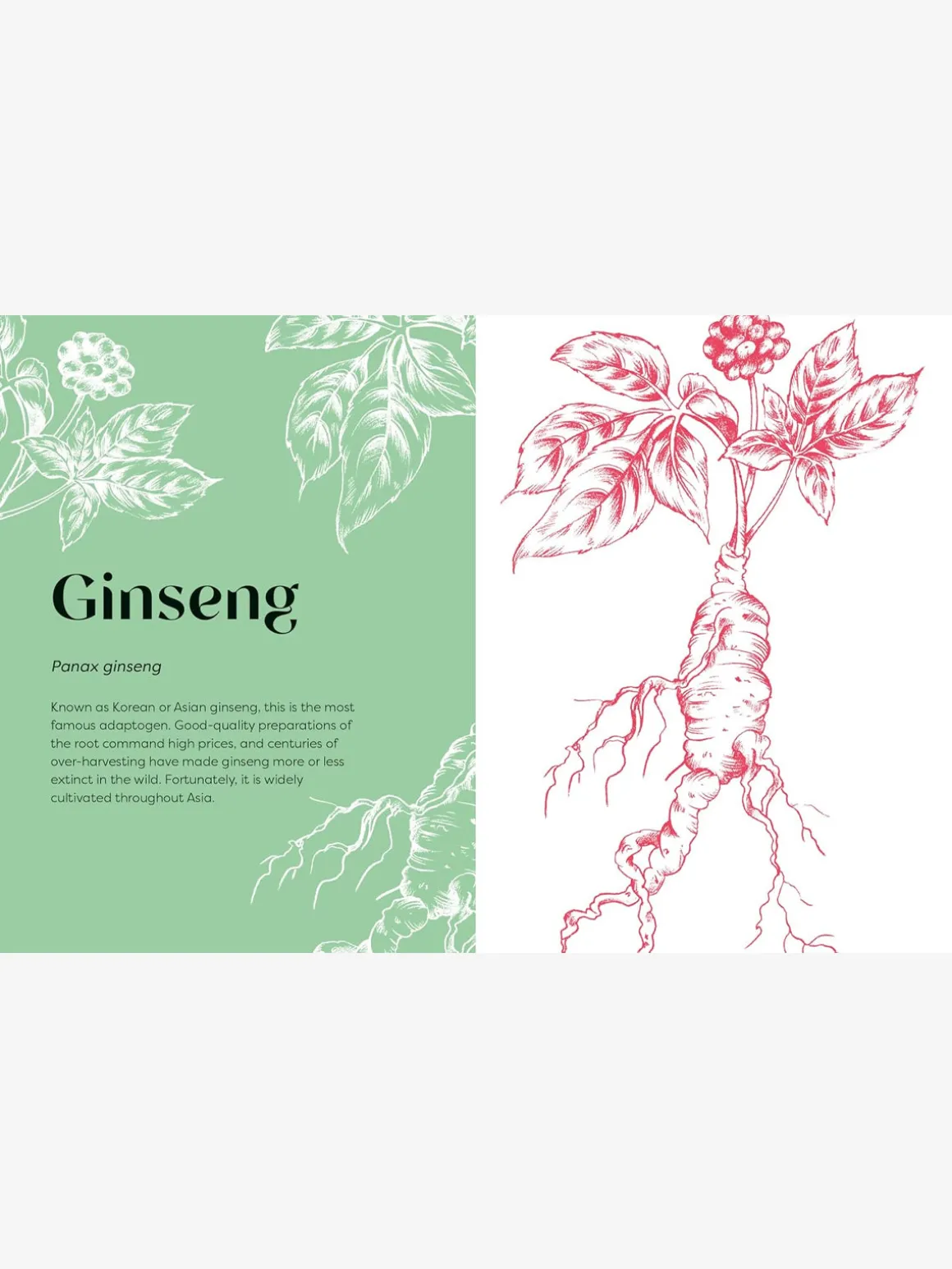 Nature's Apothecary: Harness the healing power of herbs, mushrooms and other adaptogens