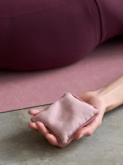Organic Cotton Chambray Pair of Hand Pillows