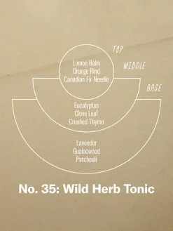 7.2oz Soy Candle - Wild Herb Tonic