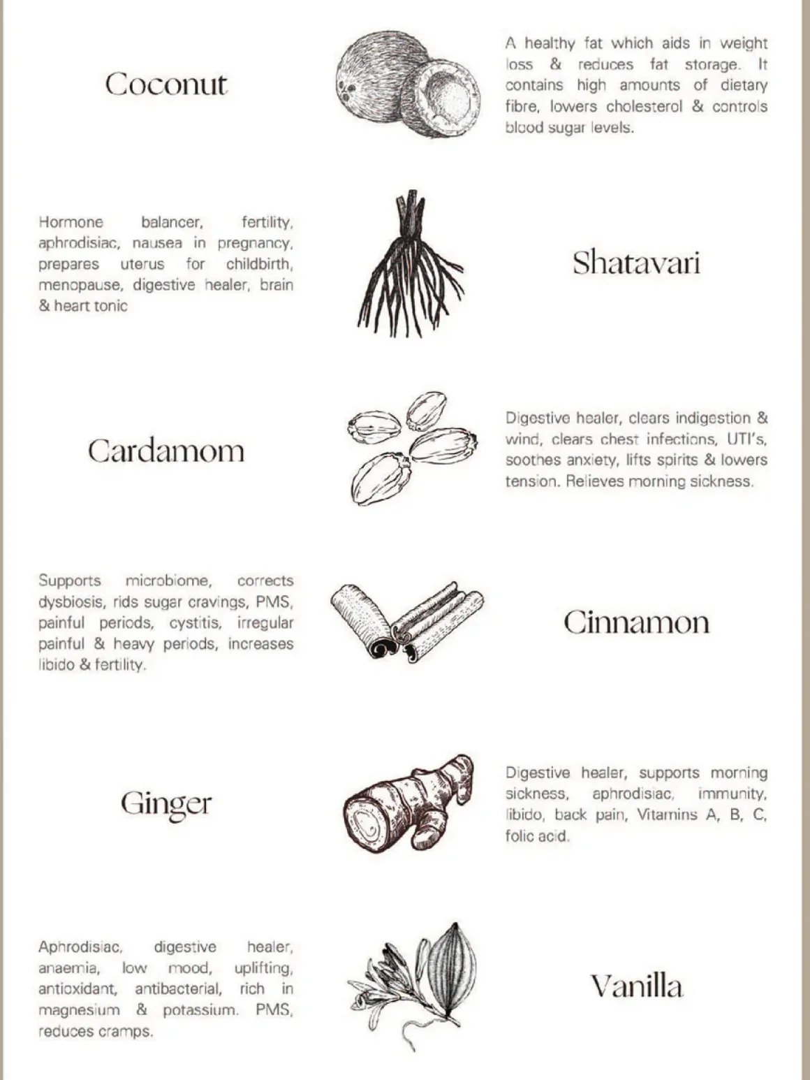 Palm of Feronia X Lady Apothecary Herbal Healing - Harmonia Masala Chai