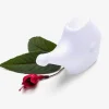 Plastic Neti Pot - Box of 20
