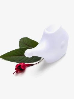 Plastic Neti Pot - Box of 20