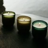 Sea Garden Glass Candle - Sea Moss & Driftwood