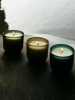 Sea Garden Glass Candle - Sea Moss & Driftwood