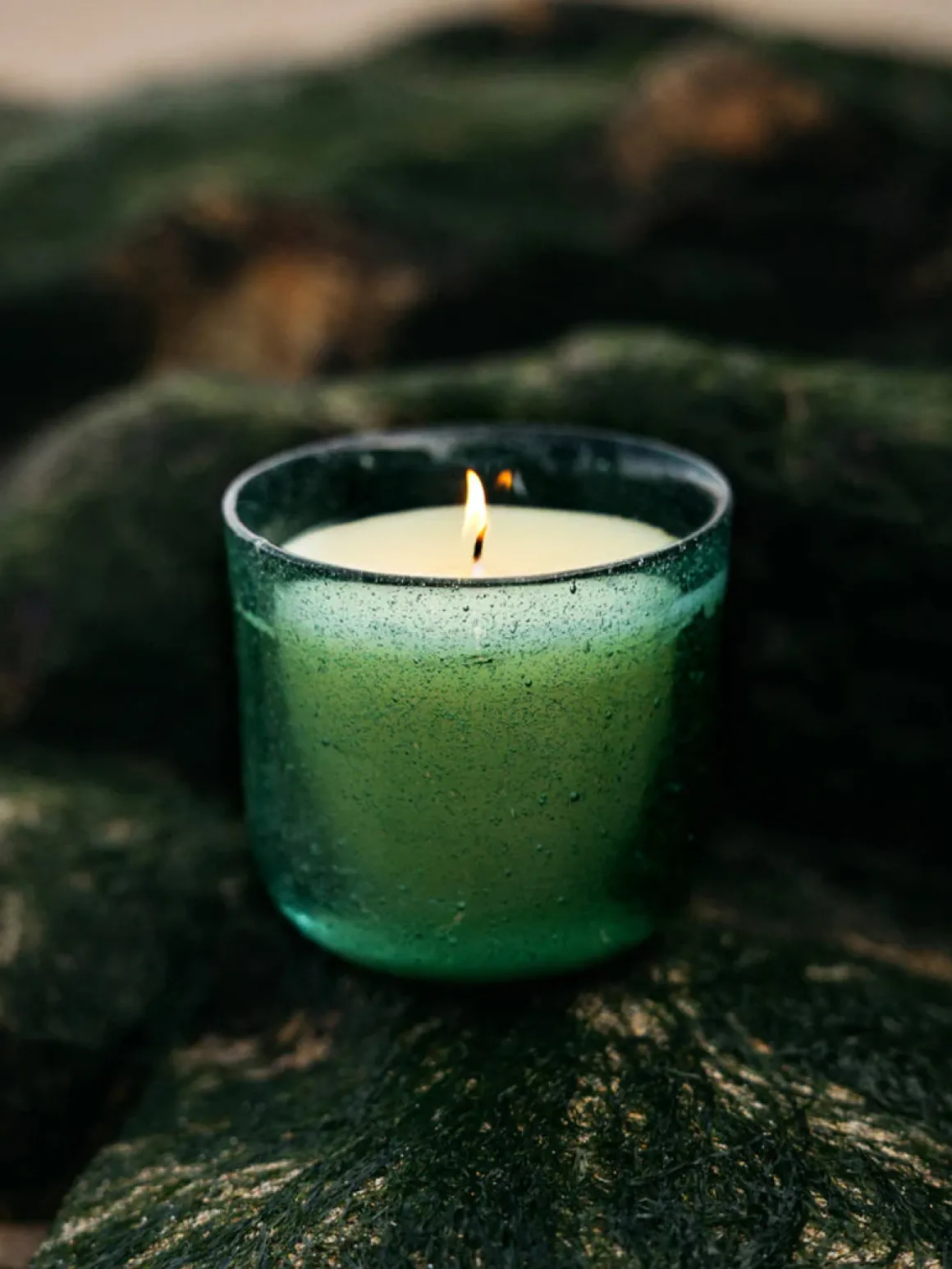Sea Garden Glass Candle - Sea Moss & Driftwood