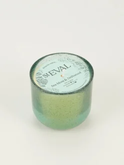 Sea Garden Glass Candle - Sea Moss & Driftwood