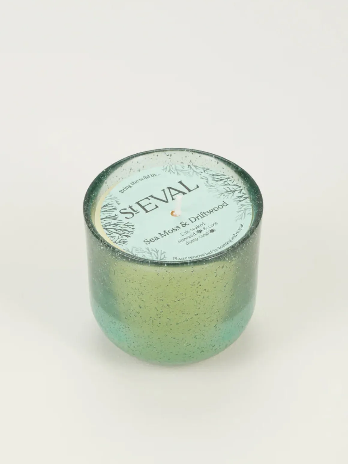Sea Garden Glass Candle - Sea Moss & Driftwood