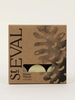 Tealight Candles - Winter Thyme